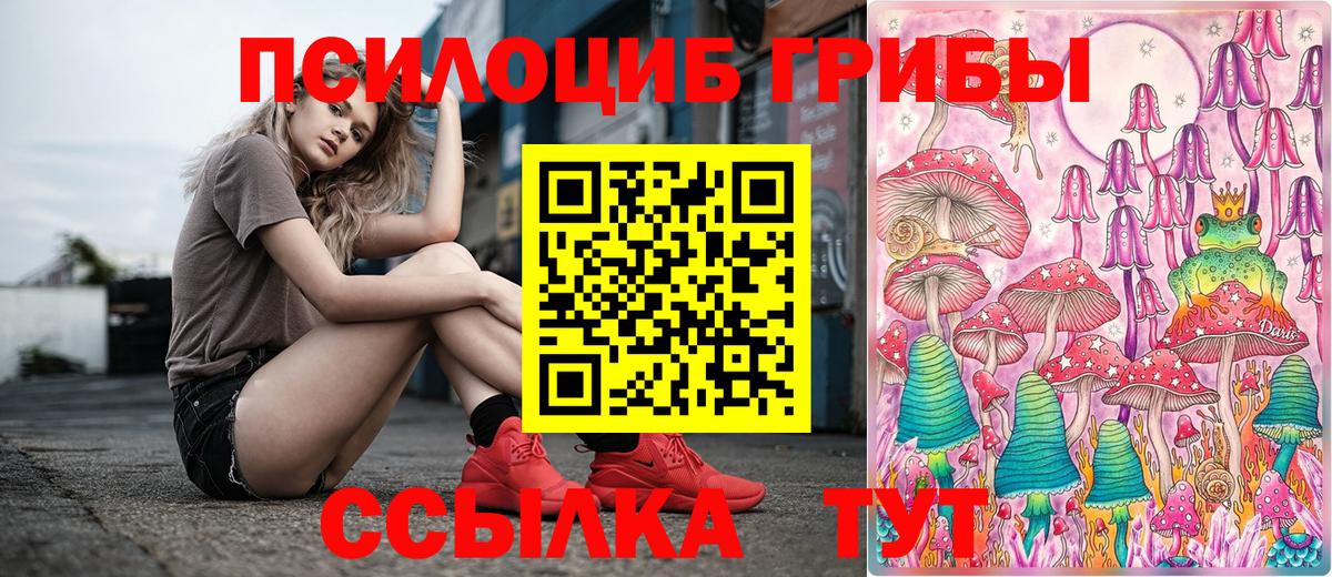 Псилоцибиновые грибы GOLDEN TEACHER  Псилоцибиновые грибы GOLDEN TEACHER  Тихвин  Вход с VPN 