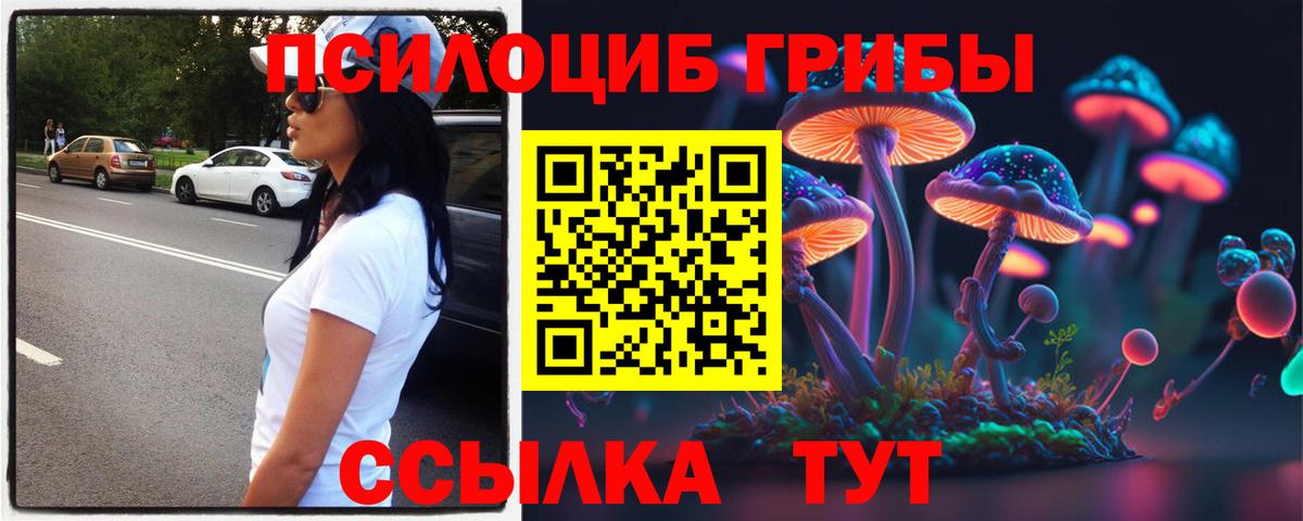 Псилоцибиновые грибы Psilocybine cubensis Тихвин